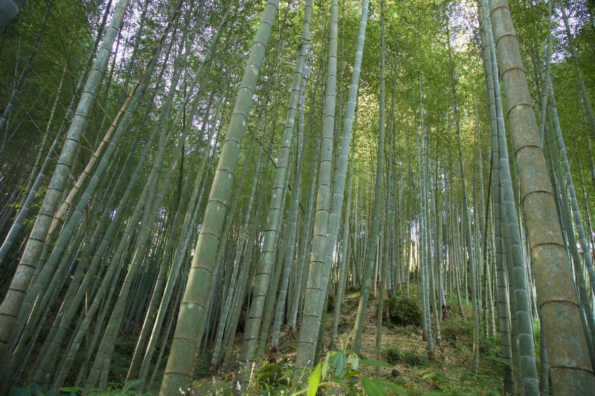 元聖機械範例文章